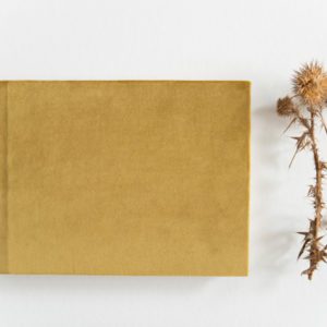 Pro albums Photo Book 36 of 127