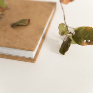 Pro albums Photo Book 40 of 127